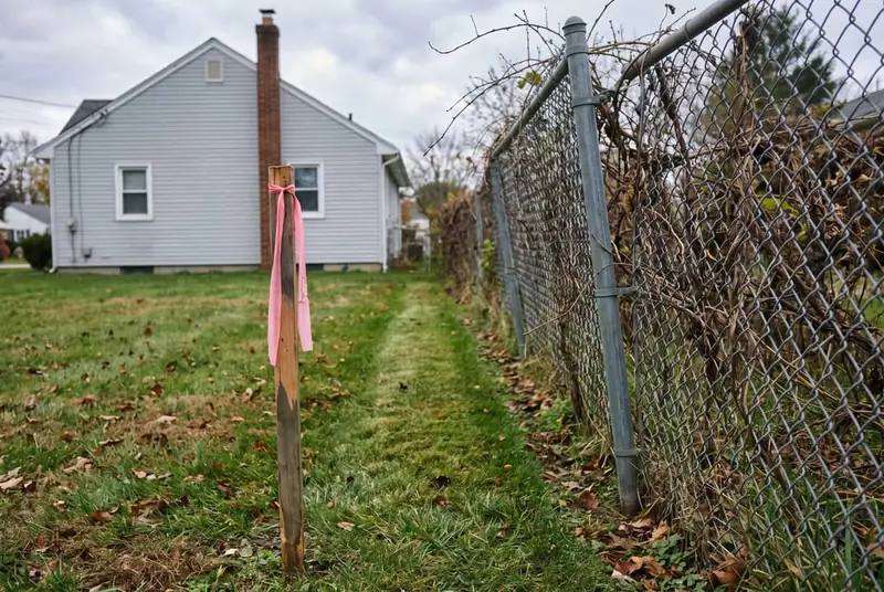 Old leaning chain-link fence a couple of feet off a wooden survey stake, with a mowed strip of lawn between them