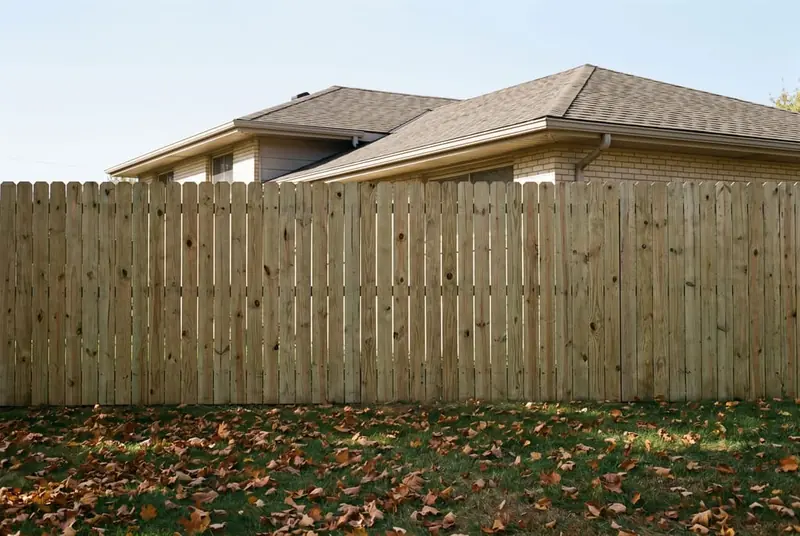 Smooth face of a new pine board privacy fence seen from the neighboring yard, with no posts or rails showing