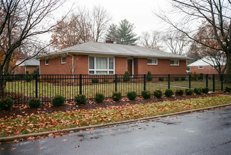 Black aluminum front fence with a row of young boxwood shrubs along the street side of a 1960s ranch house